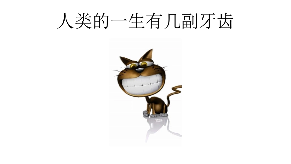 儿童口腔知识讲座_第3页