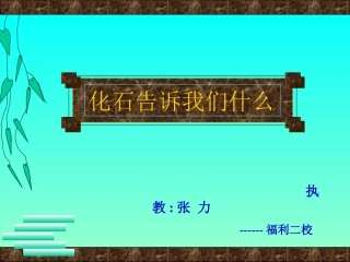 化石告诉我们什么