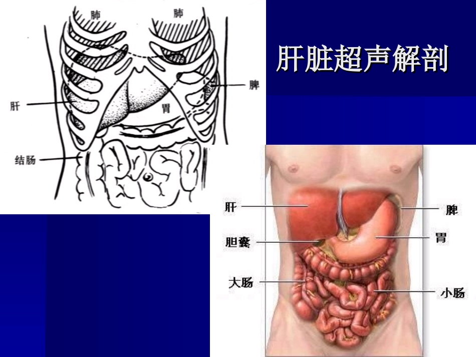 消化系统超声_第3页