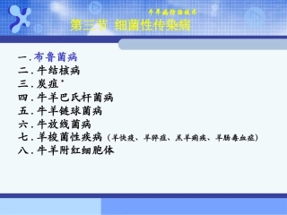 牛羊细菌病-1布鲁菌病