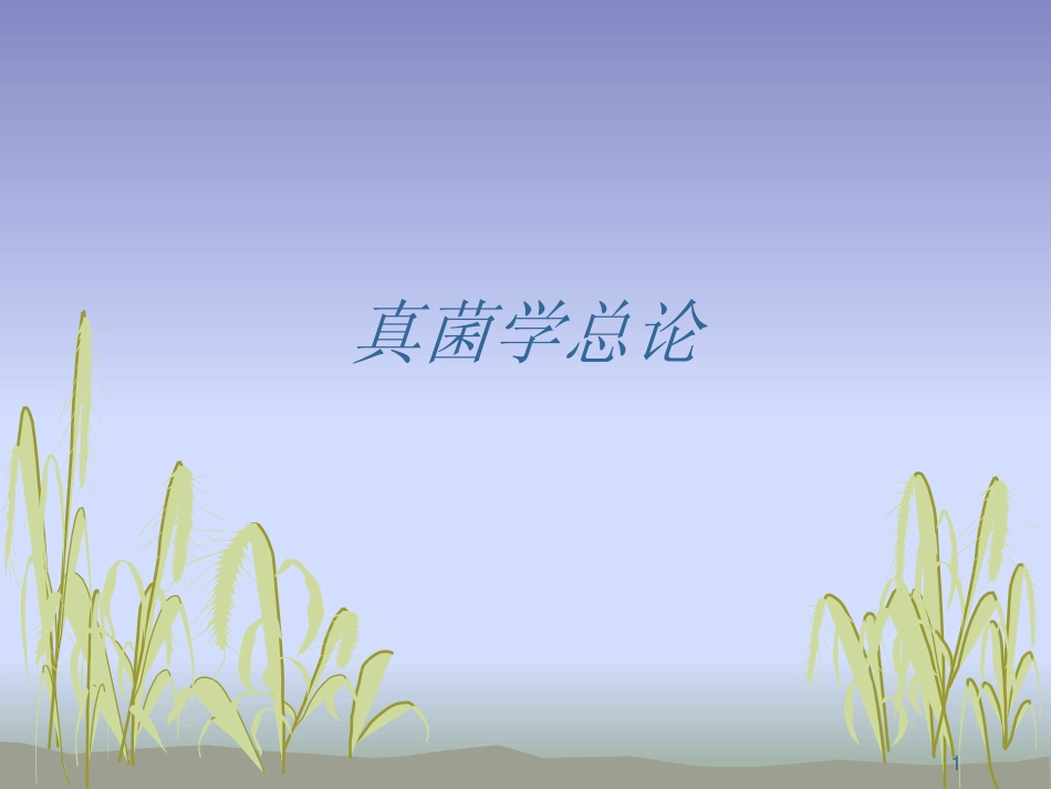 真菌学总论2012_第1页
