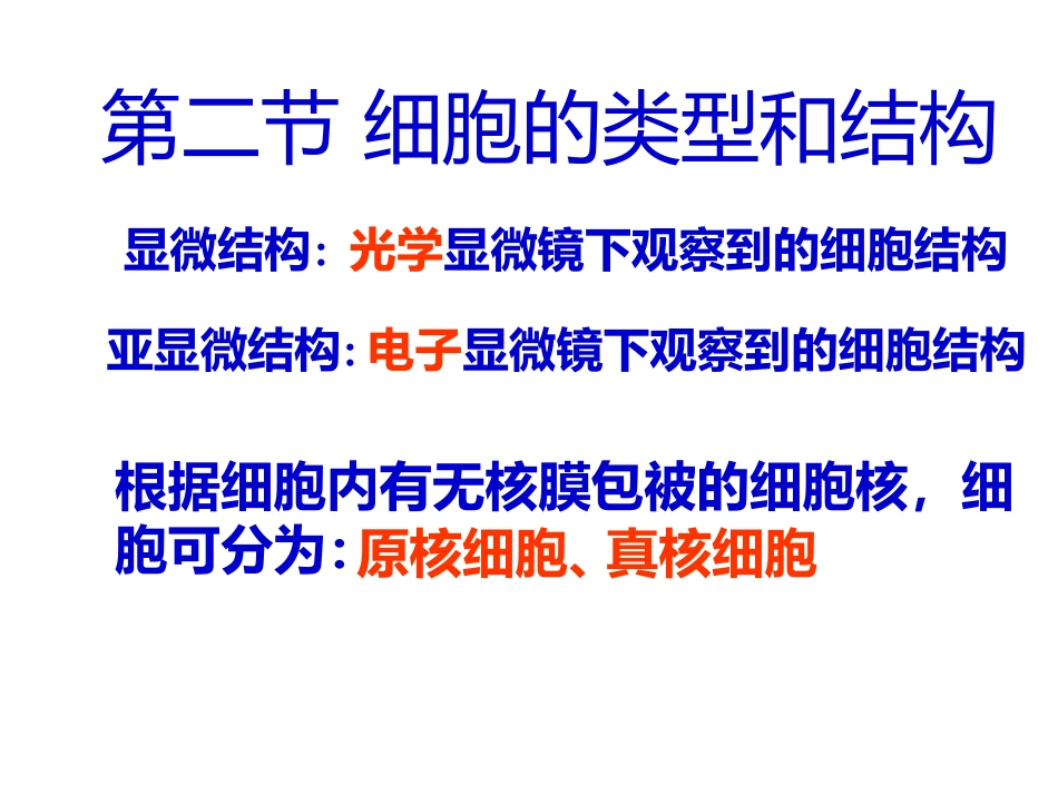 细胞的类型和结构_第2页