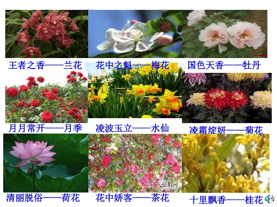 植物的开花结果_第3页