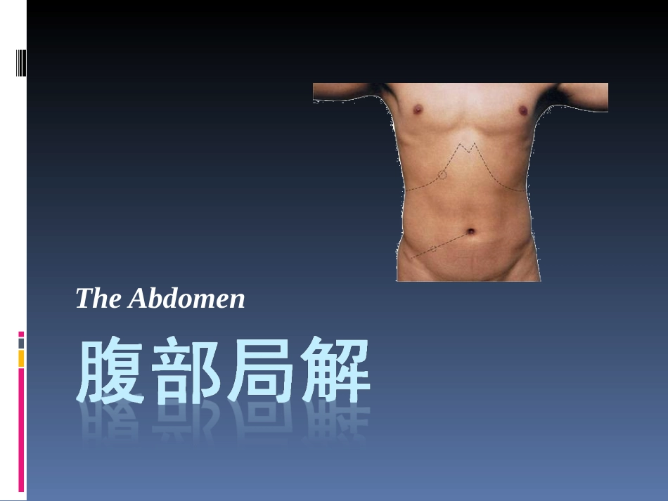 罗英瑾11 腹部_第1页