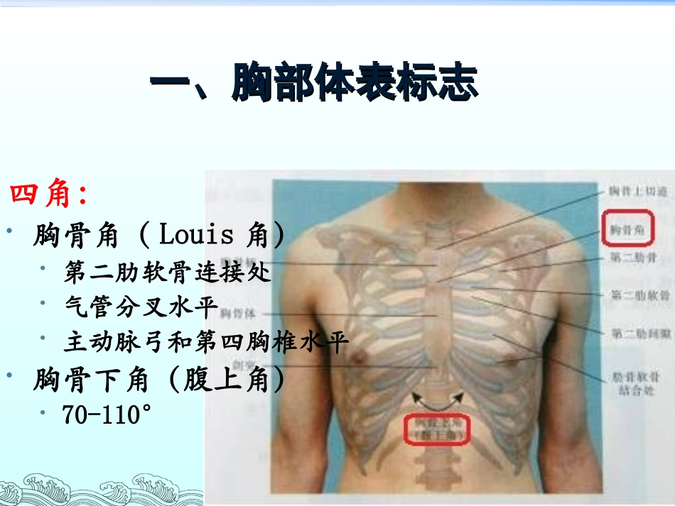 胸部体格检查-整理版_第2页