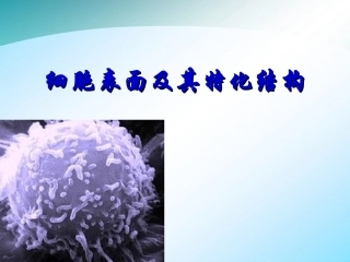 细胞表面及其特化结构