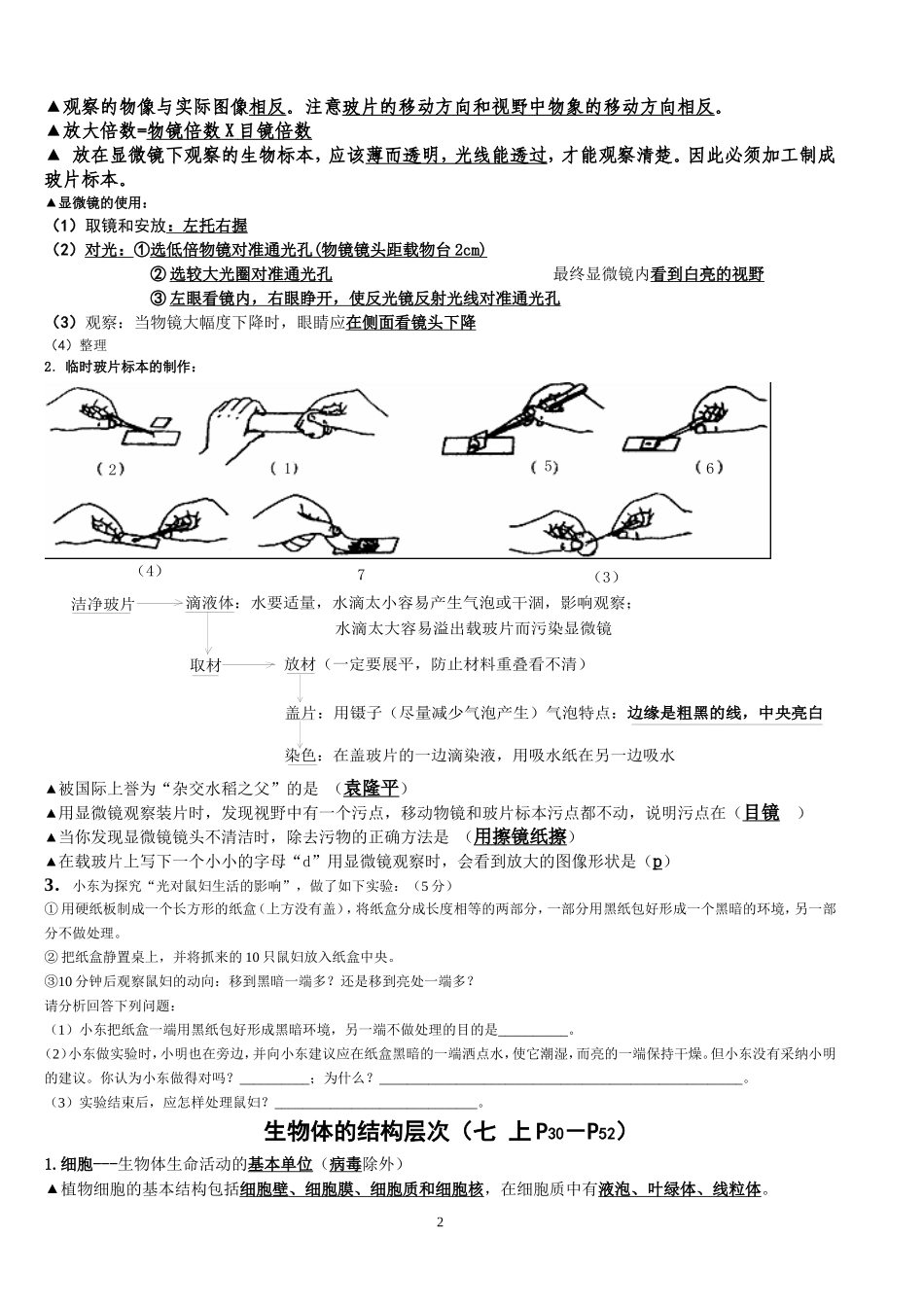 七年级上复习提纲_第2页