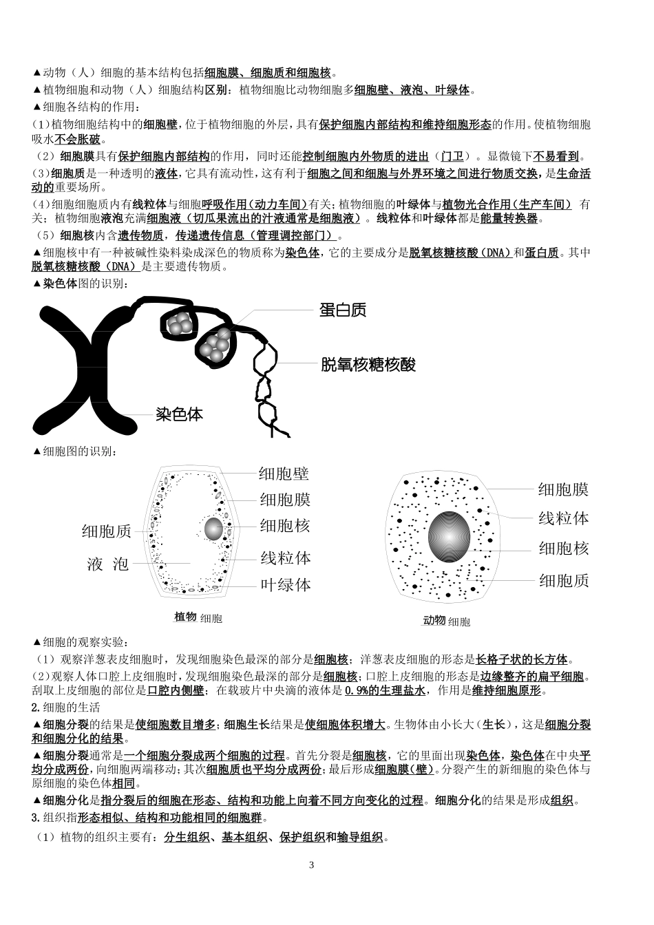 七年级上复习提纲_第3页