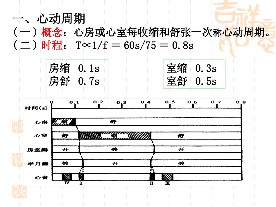 第4章 血液循环 南华大学_第3页