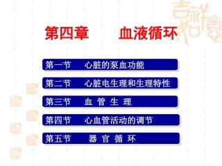 第4章 血液循环 南华大学