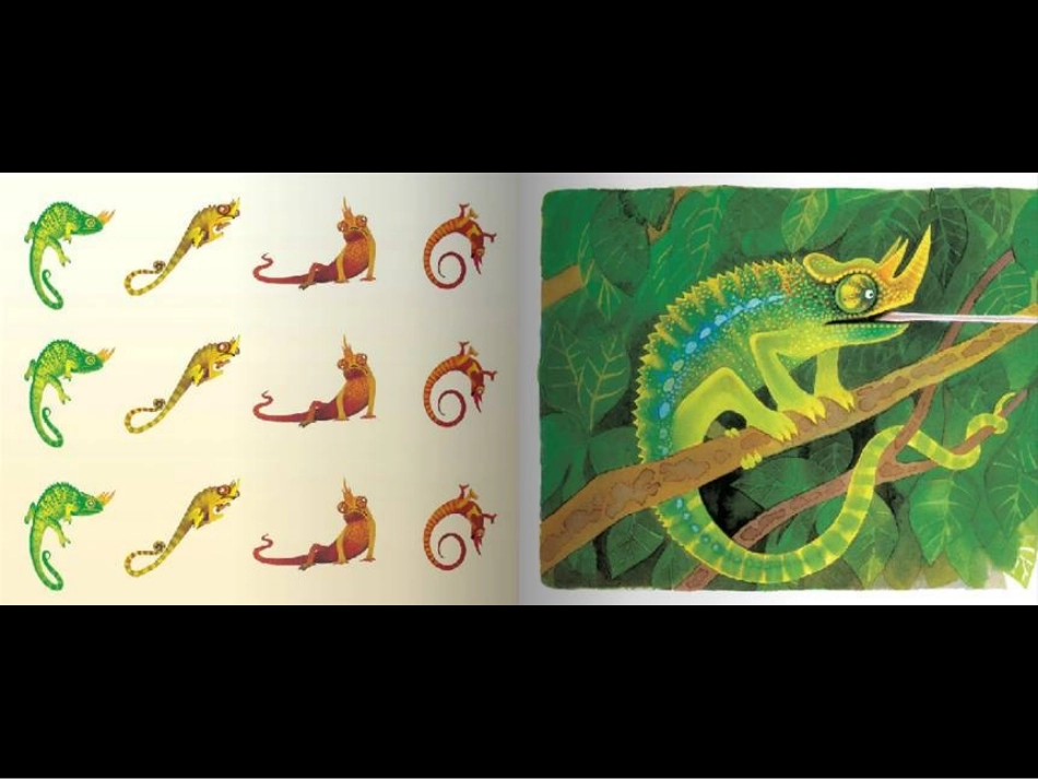 儿童绘本：《聪明的变色龙》_第3页