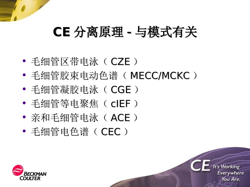 毛细管电泳原理及分析策略CE_第2页