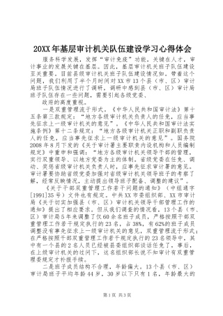 20XX年基层审计机关队伍建设学习心得体会 (4)
