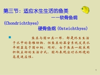 第一章 鱼类的外部形态