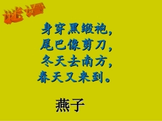 习作五给动物设计名片