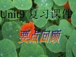 新目标八年级下unit9复习课件