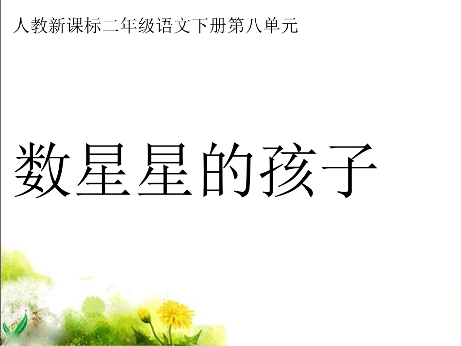 《数星星的孩子》教学课件_第1页