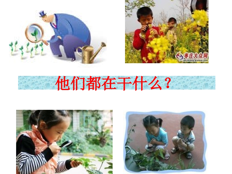 练习使用显微镜(用)_第1页