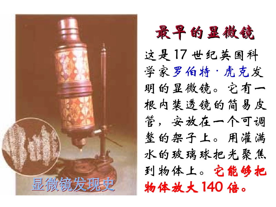 练习使用显微镜(用)_第2页