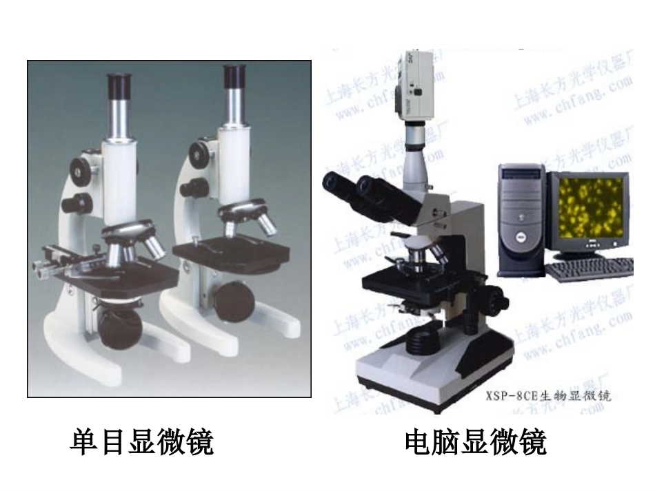 练习使用显微镜(用)_第3页