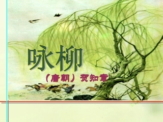 二年级语文下册_咏柳_2课件_西师大版