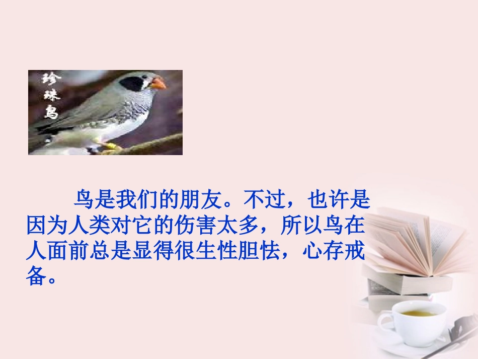 五年级语文下册《珍珠鸟》课件_第2页