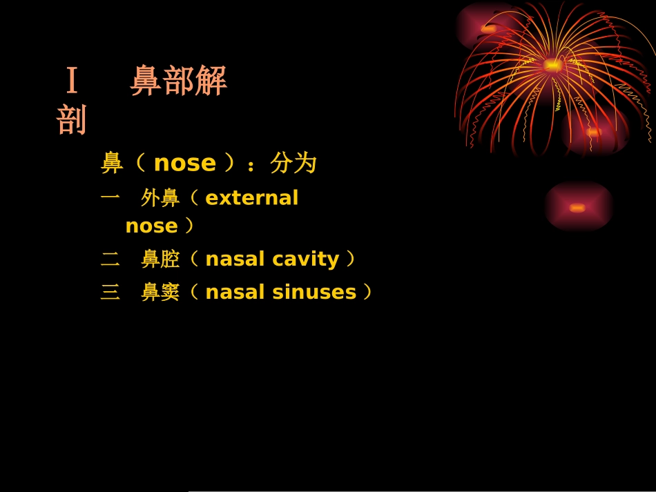 鼻 部 解 剖 及 生 理_第2页