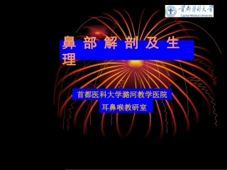 鼻 部 解 剖 及 生 理
