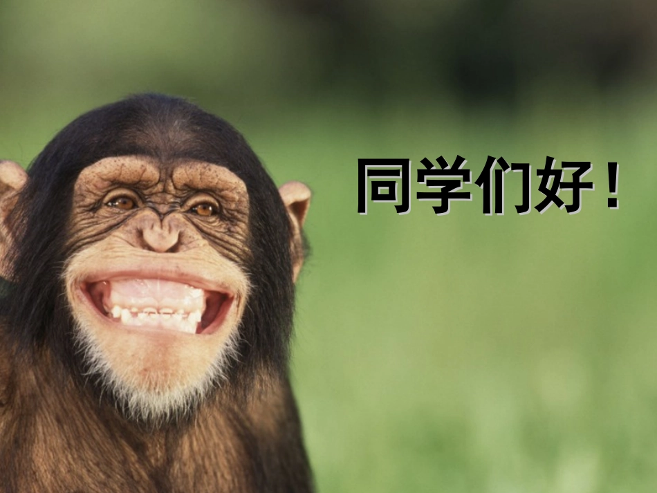 必修1-分子与细胞-第2节-生命活动的主要承担者_第1页