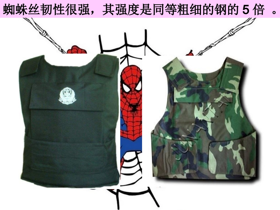 必修1-分子与细胞-第2节-生命活动的主要承担者_第2页