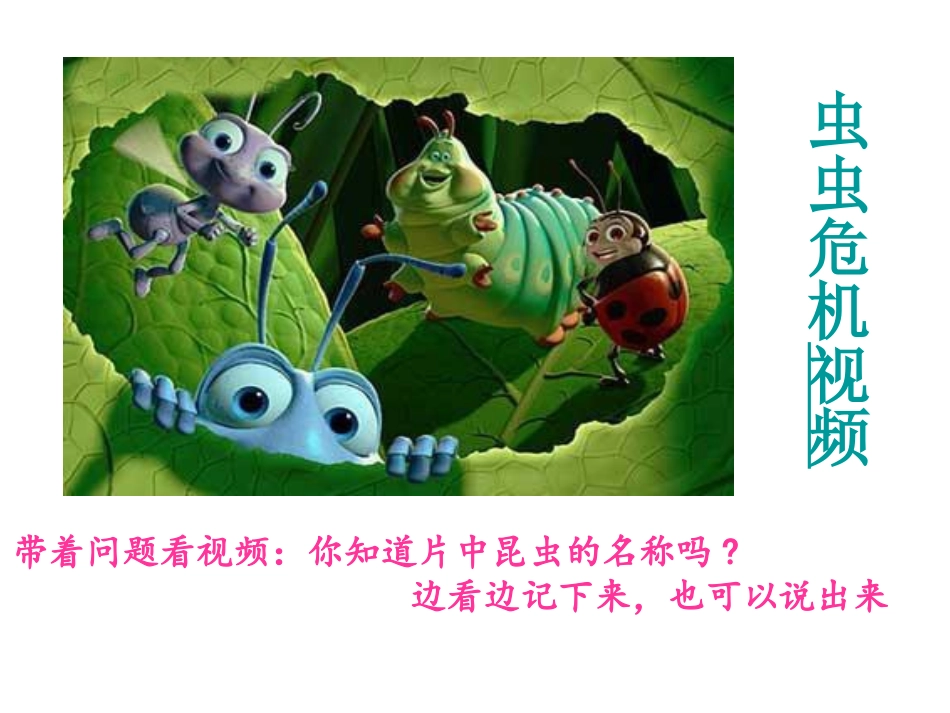 一年级下美术课件-我和昆虫_第2页