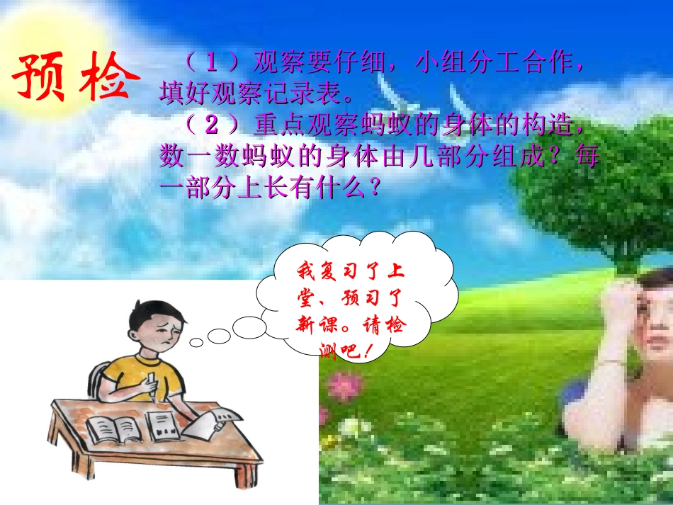 蚂蚁(青岛版科学三下)-高新收免费课件_第2页