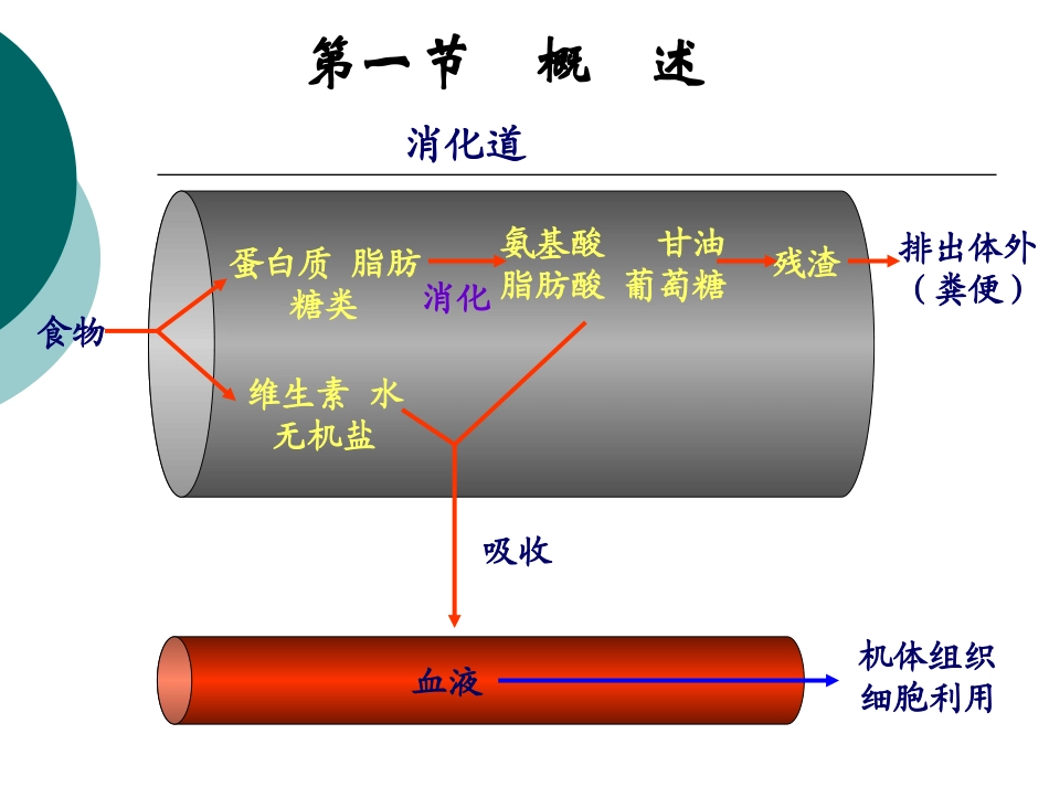 第六章消化和吸收wbx_第2页