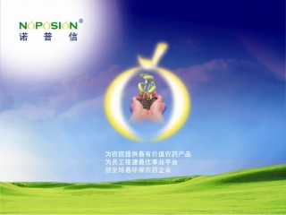 西瓜栽培及病虫害防治