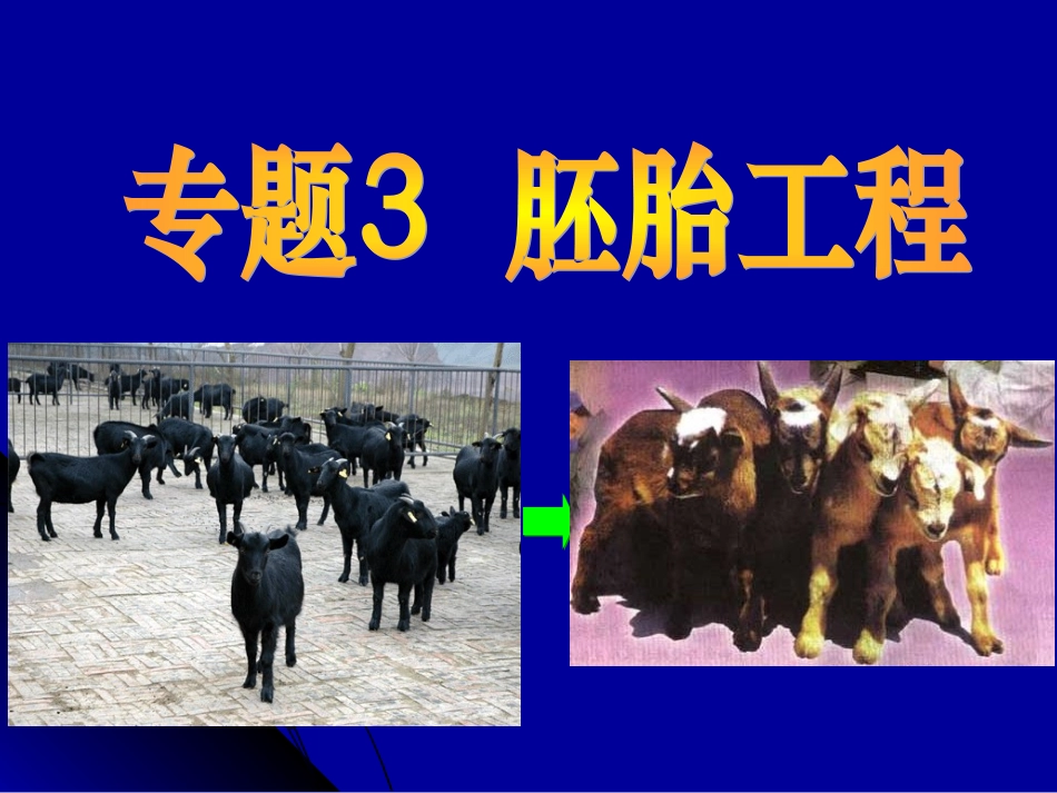 专题三胚胎工程（复习）_第1页