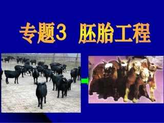 专题三胚胎工程（复习）