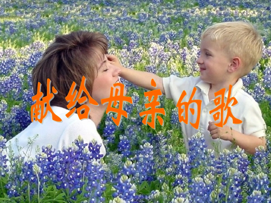 献给母亲的歌_第3页