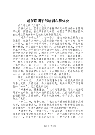 新任职团干部培训心得体会