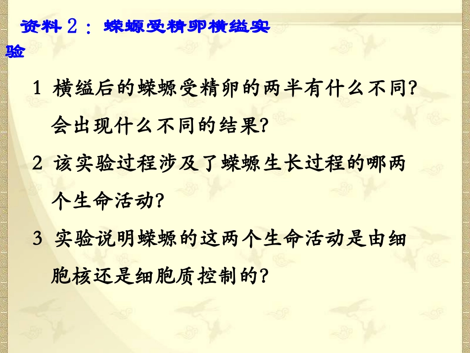 细胞核-张婷_第3页