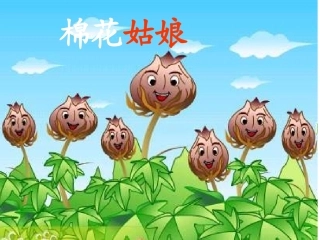 棉花姑娘__课件