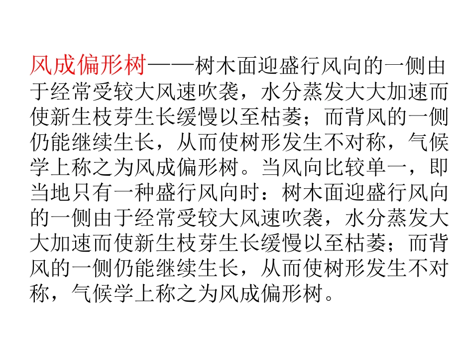 《练习五》PPT课件_第2页