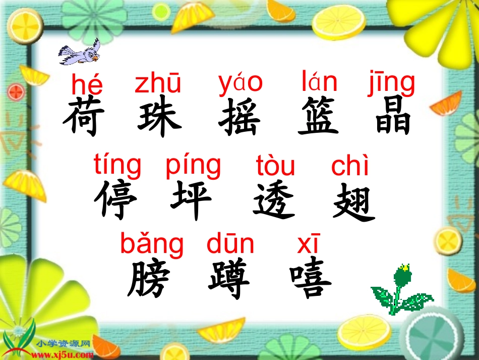 课件：荷叶圆圆_第3页