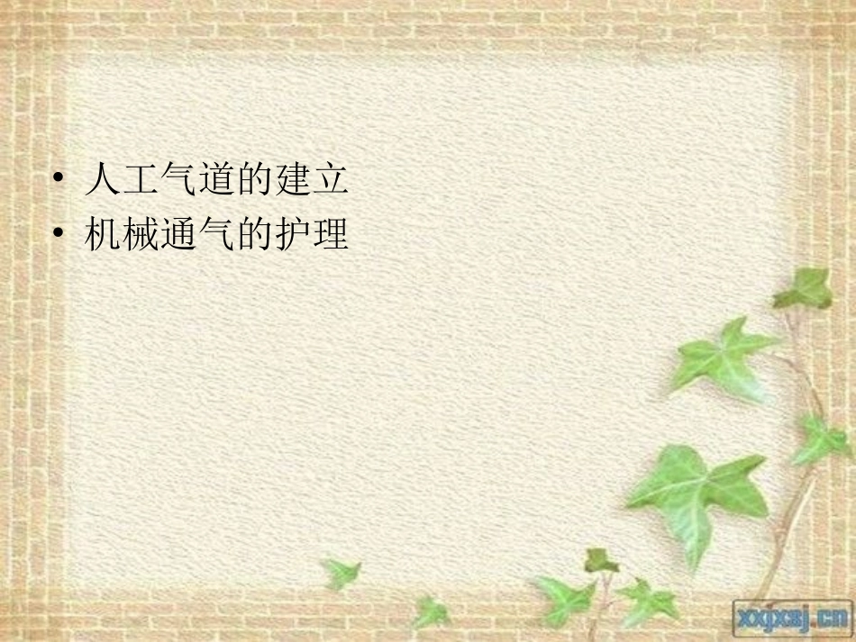 呼吸机检测及参数-(1)_第2页