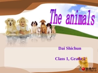二年级公开课animals