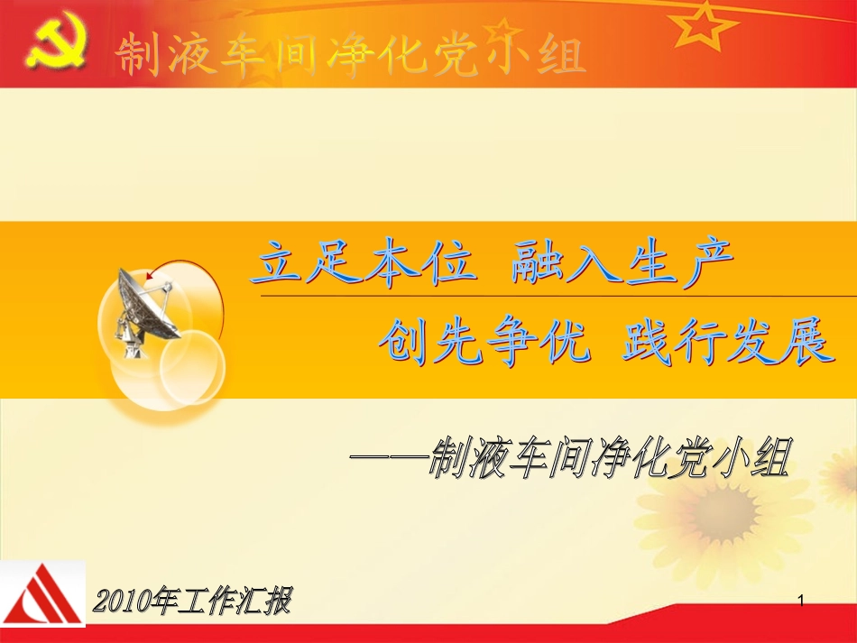 党小组工作汇报模板_第1页