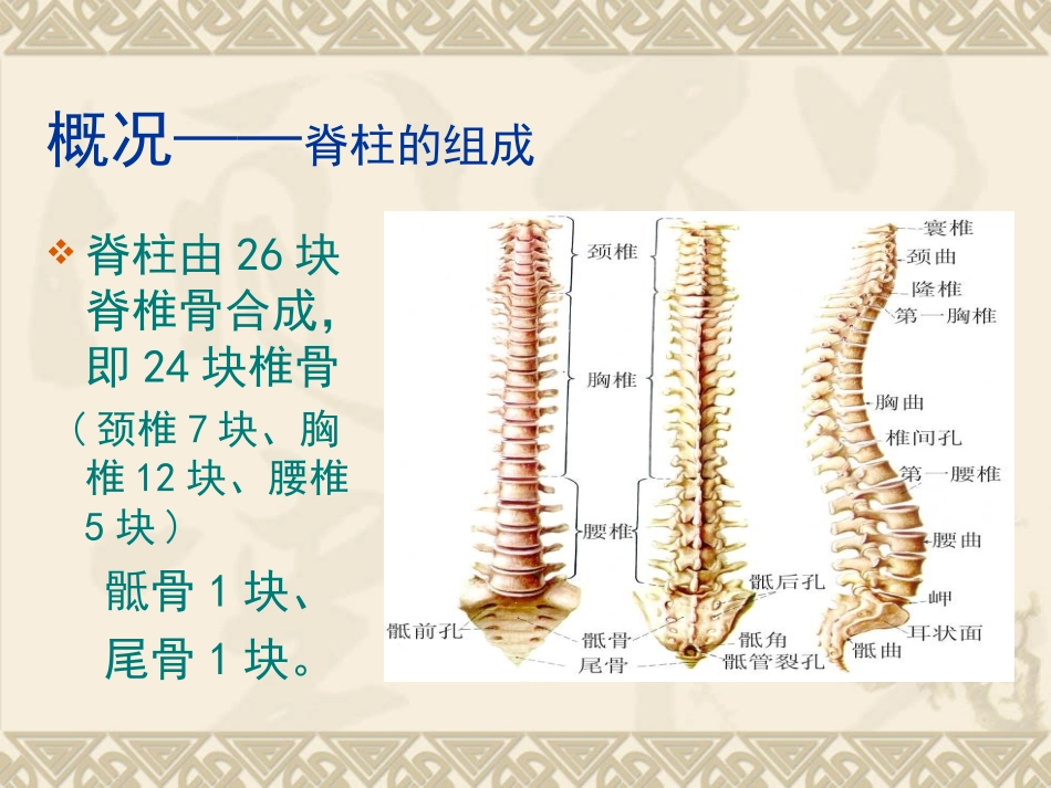 脊柱的养护0_第3页
