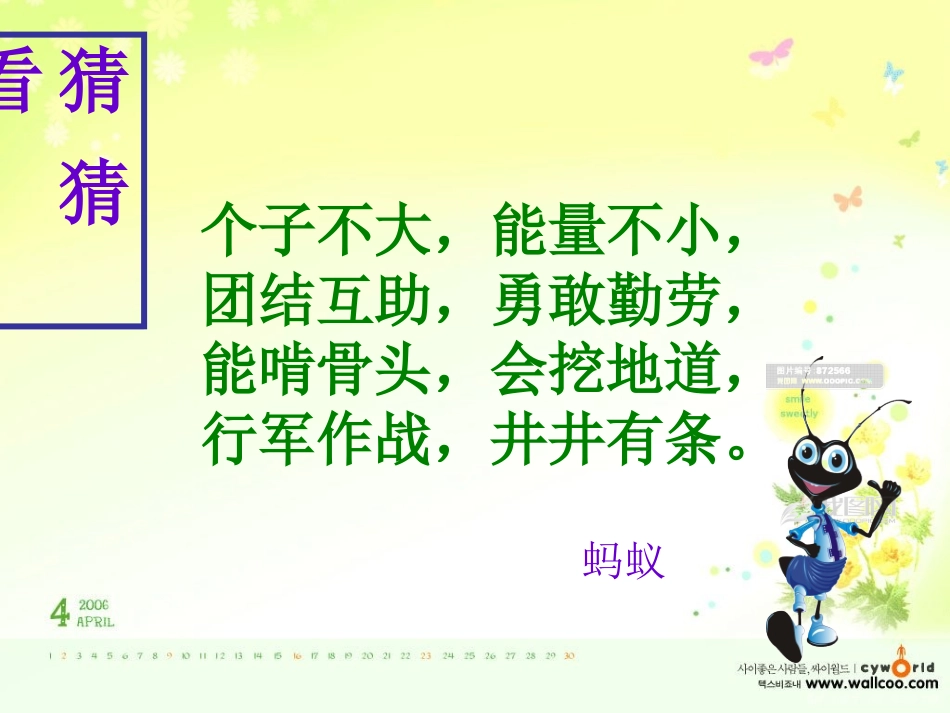 苏教版四下17-生命的壮歌之“蚁国英雄”_第1页