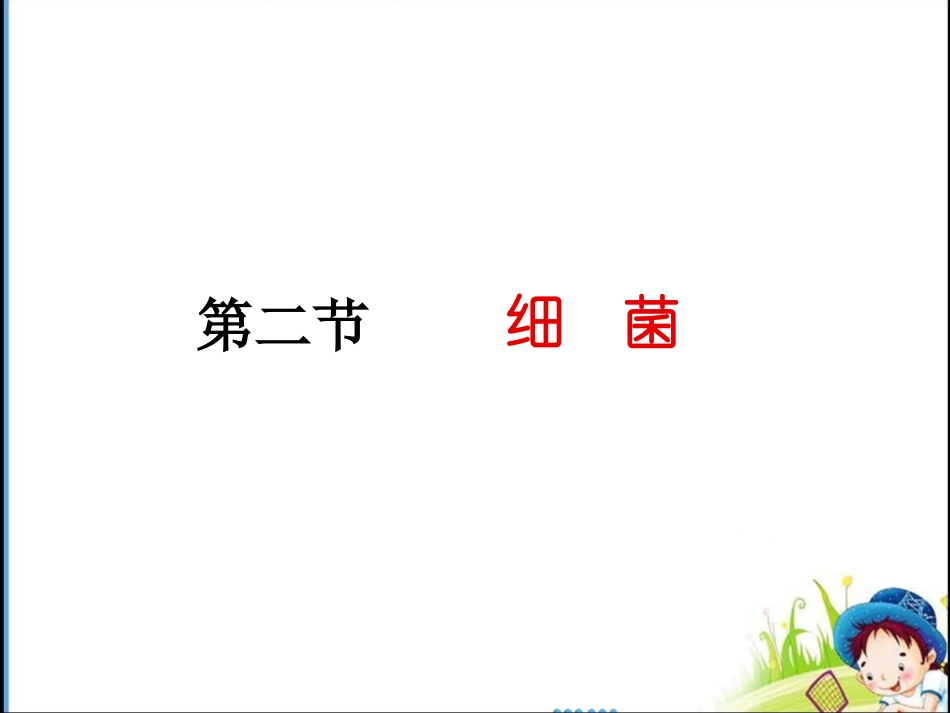 《细菌》参考课件2_第1页