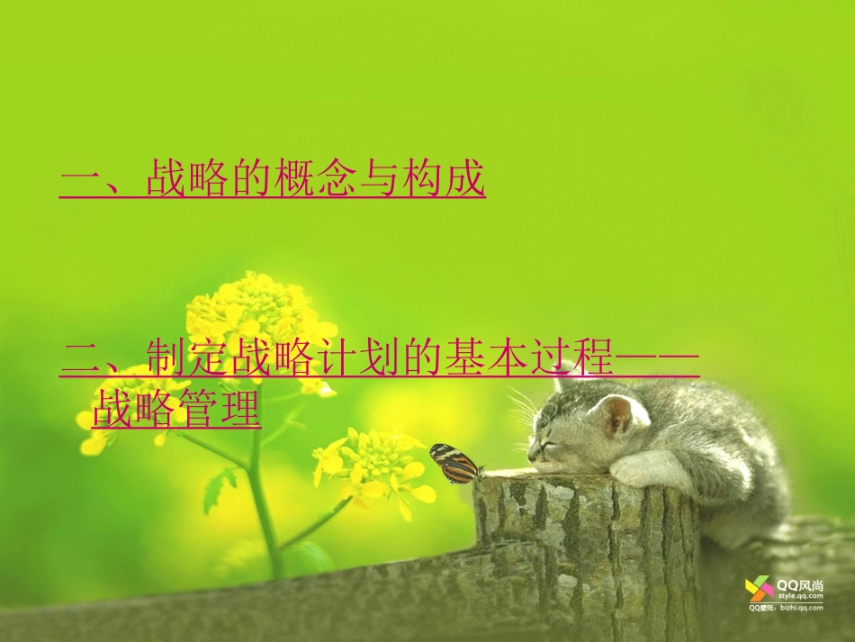 第三节 计划与战略管理_第2页