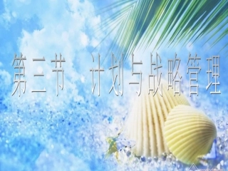第三节 计划与战略管理